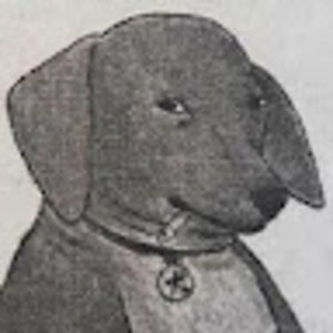 Meet your Posher, Jeremy